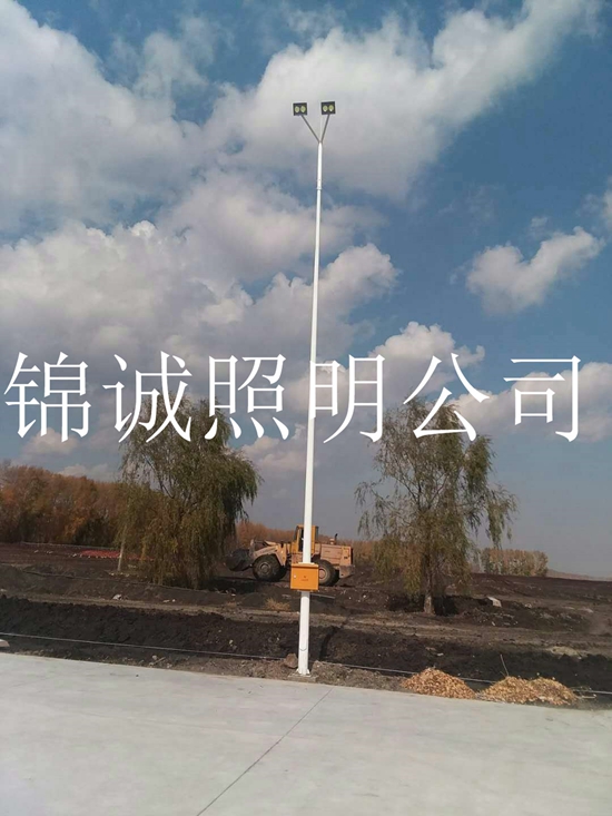 沈阳市铁西区工业园太阳能路灯工程